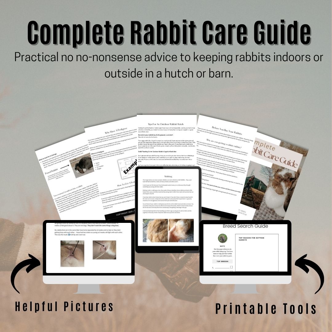 Offer - The Complete Rabbit Care Bundle - Oak Hill Farm