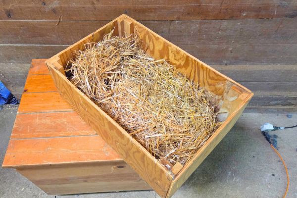 large french lop size nest box for rabbits