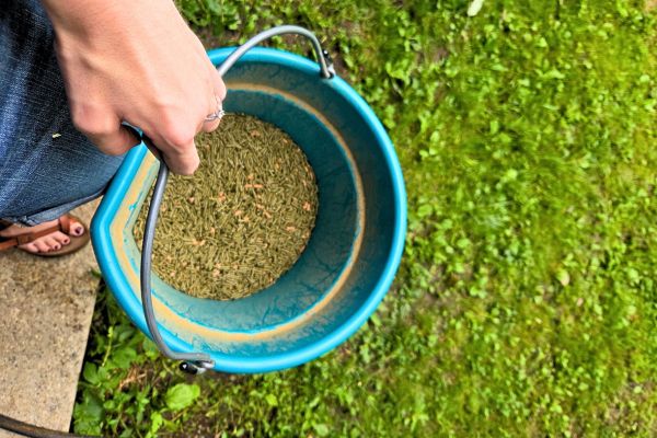rabbit feed bucket
